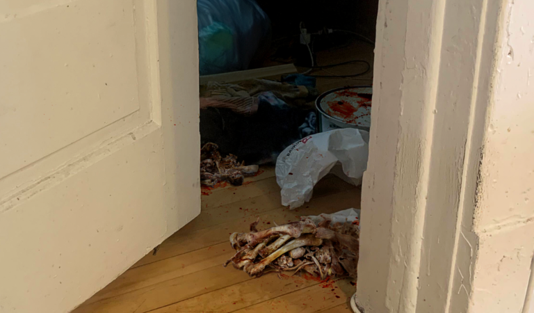 Deep Bellow Of ‘I’m Hungry!’ Rolls Out Of Teenage Son’s Animal-Bone-Filled Den
