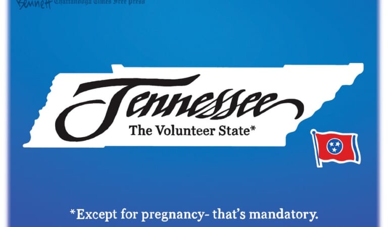 Cartoon: My body, Tennessee's choice